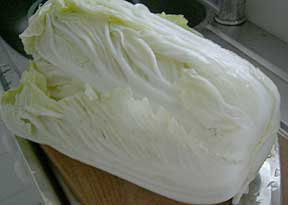 chinese cabbage